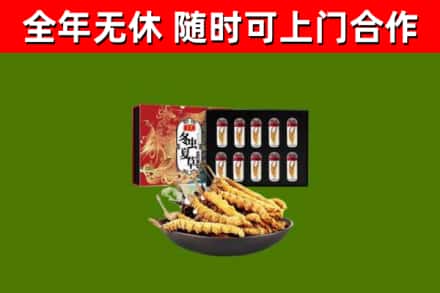 新安县回收冬虫夏草价格